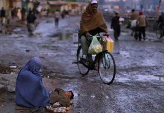 看了那个惨死的阿富汗人民，我终于明白什么叫小民尊严