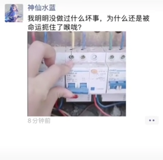 我明明没做过什么坏事,为什么还是被命运扼住了喉咙?